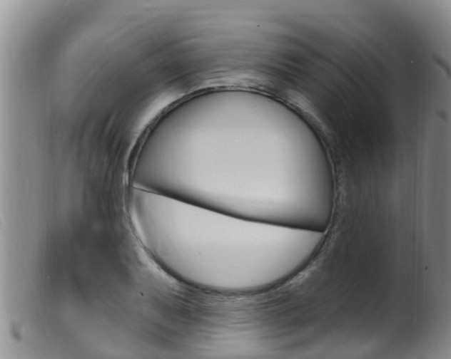 X0000099961079200805231021