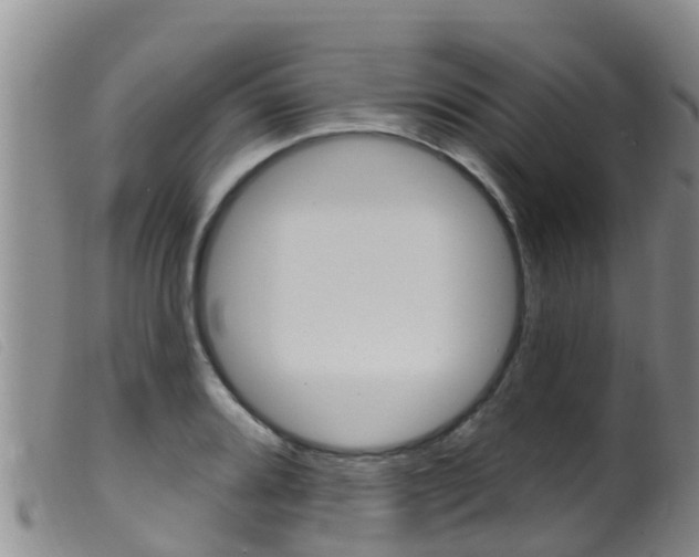 X0000099961080200805231021