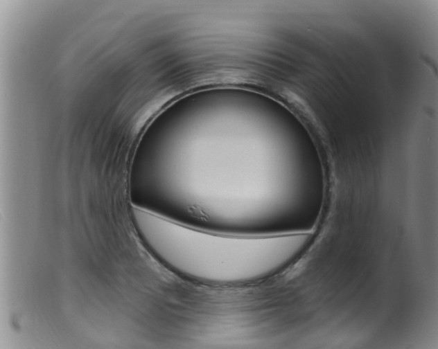 X0000099961081200805231021