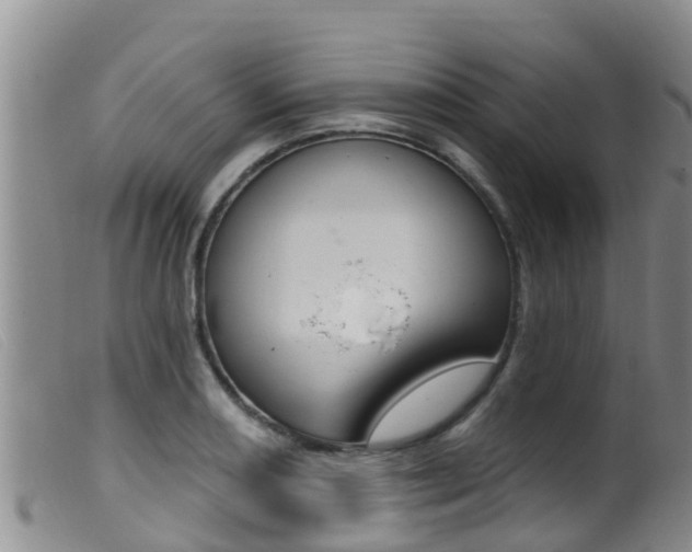 X0000099961082200805231021