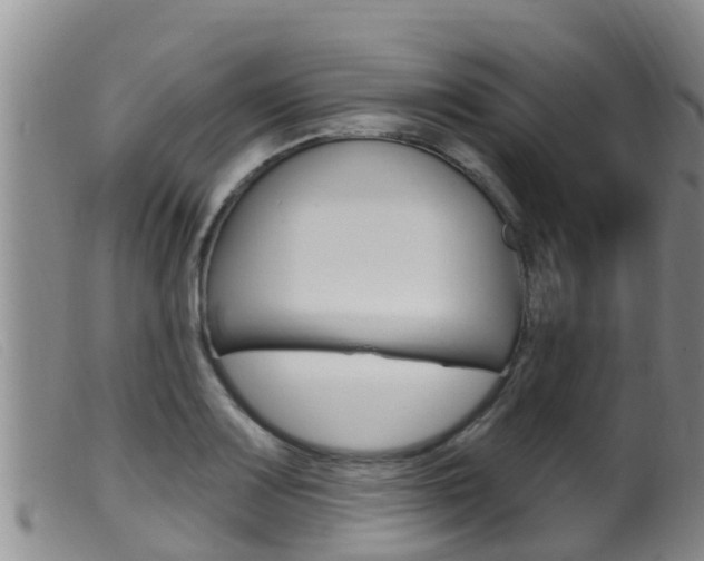 X0000099961083200805231021