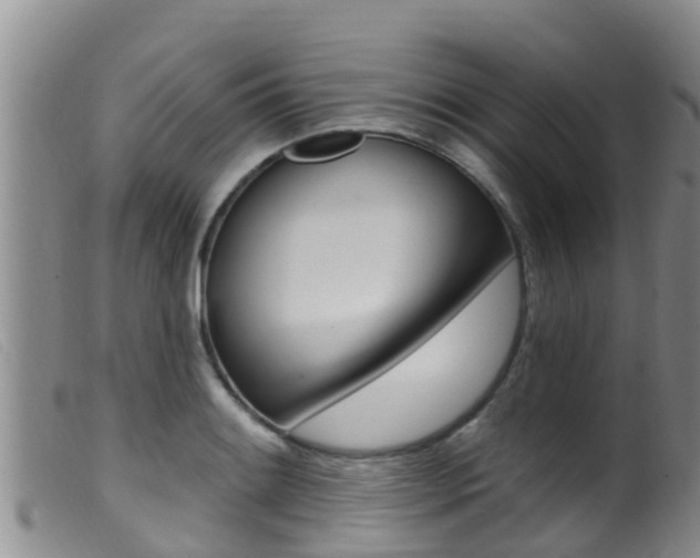 X0000099961084200805231021
