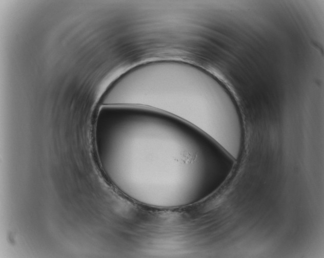 X0000099961085200805231021
