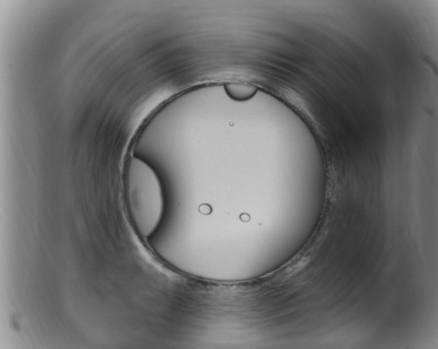 X0000099961087200805231021