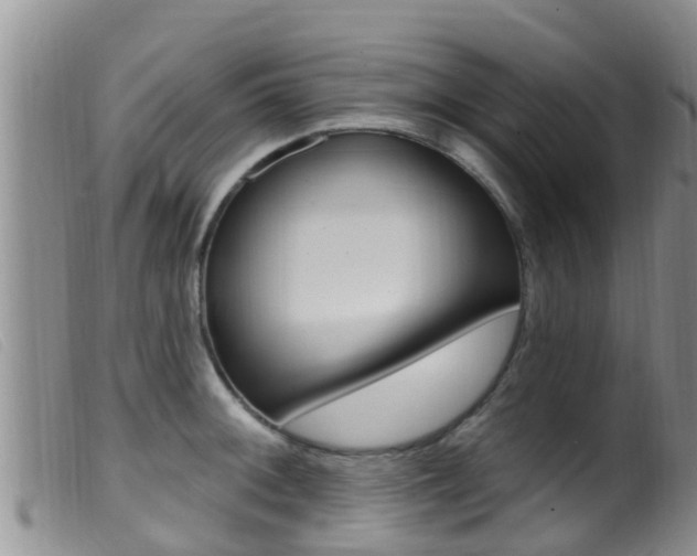 X0000099961092200805231021