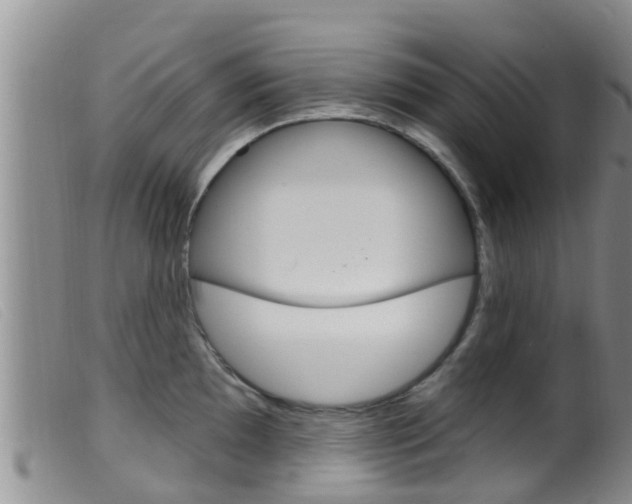 X0000099961097200805231020