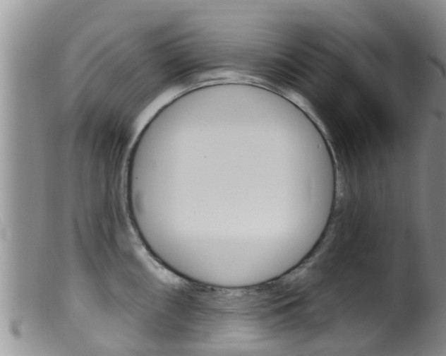 X0000099961098200805231020
