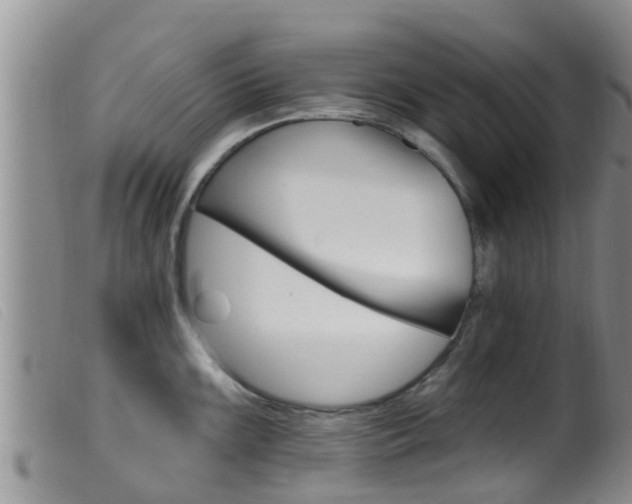 X0000099961099200805231020