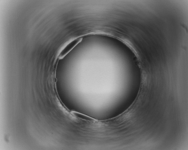 X0000099961100200805231020
