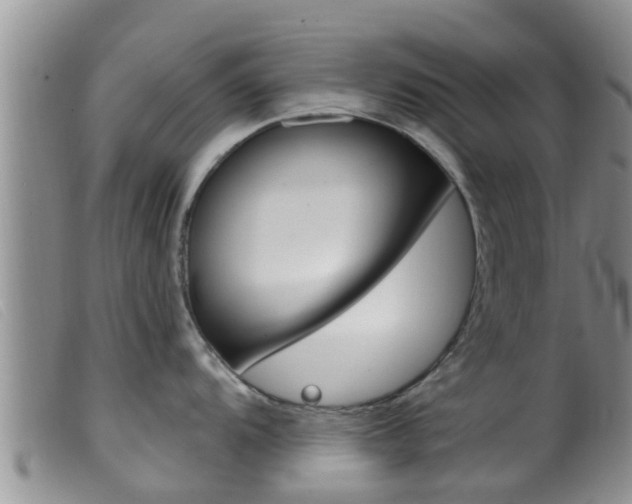 X0000099961104200805231020