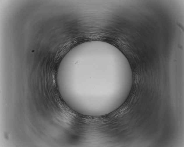 X0000099961106200805231020