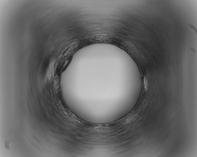 X0000099961107200805231020