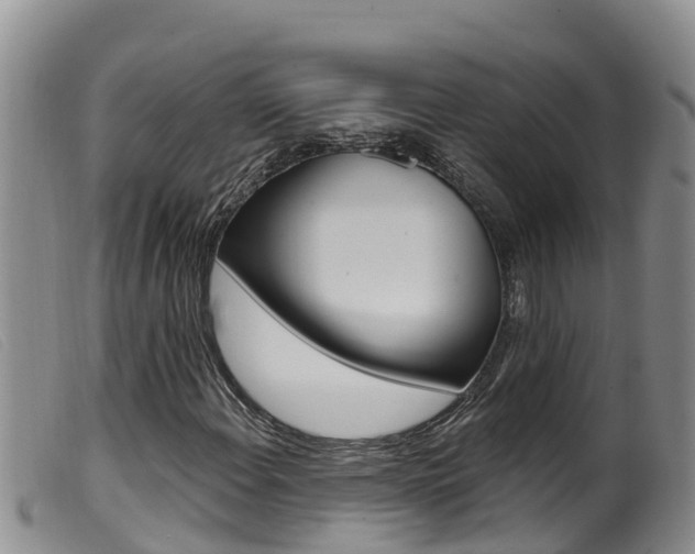 X0000099961108200805231020
