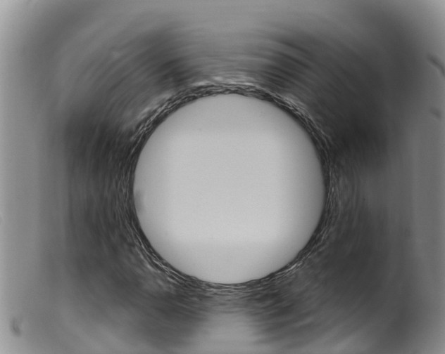 X0000099961110200805231020