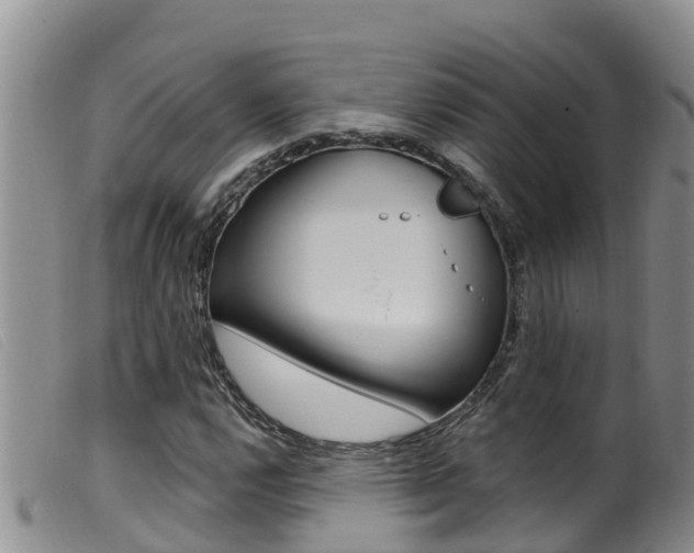 X0000099961112200805231020