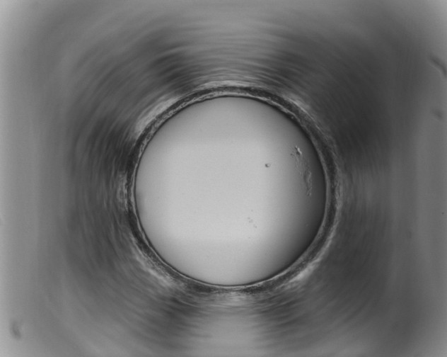 X0000099961113200805231020