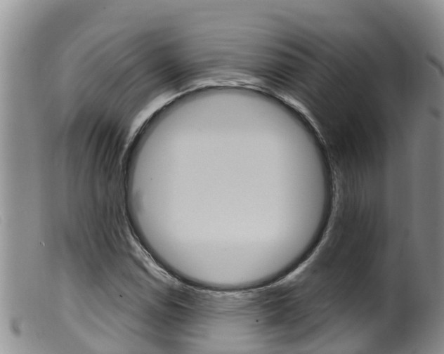 X0000099961114200805231020
