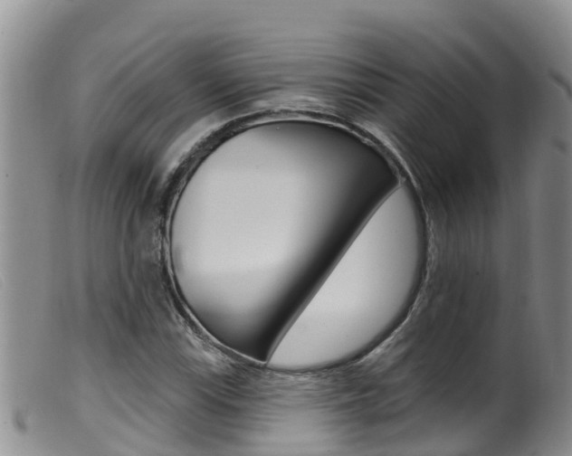 X0000099961115200805231020