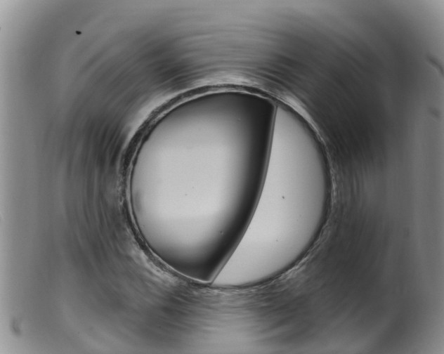 X0000099961116200805231020