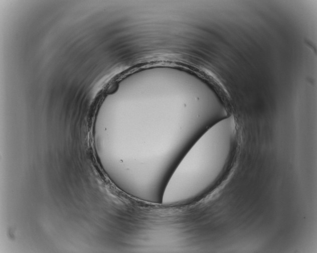 X0000099961117200805231020