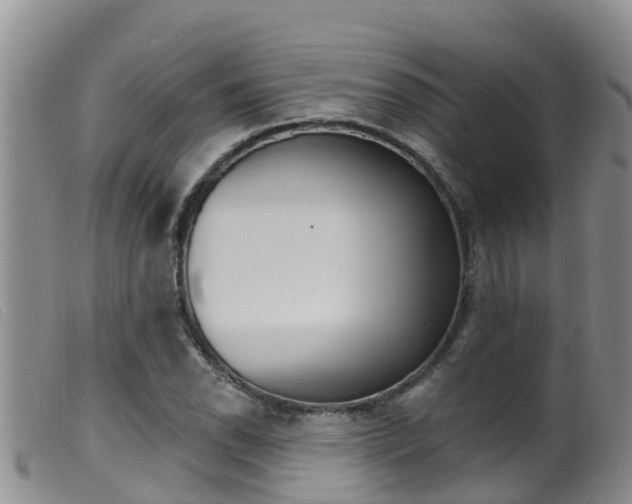X0000099961118200805231020