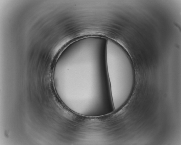 X0000099961119200805231020
