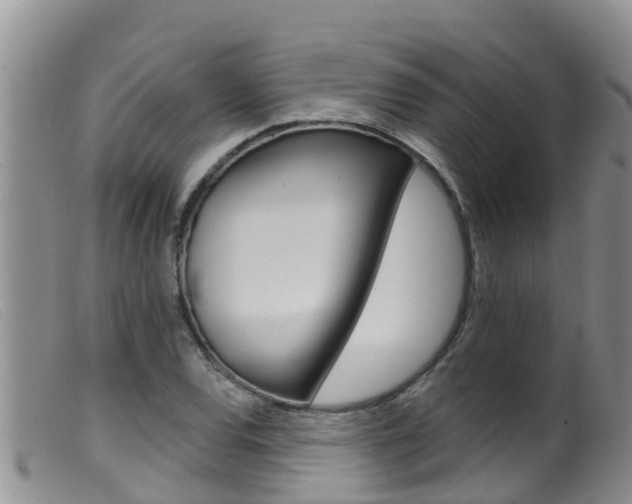 X0000099961120200805231020