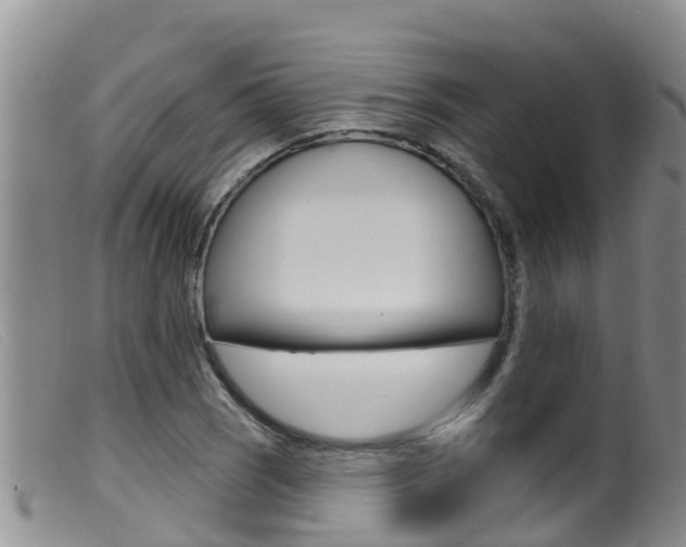 X0000099961121200805231020
