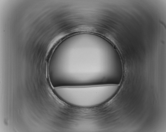 X0000099961123200805231020
