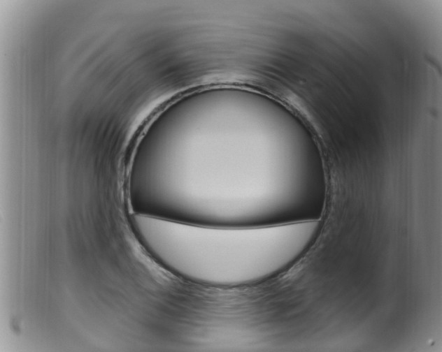 X0000099961124200805231020