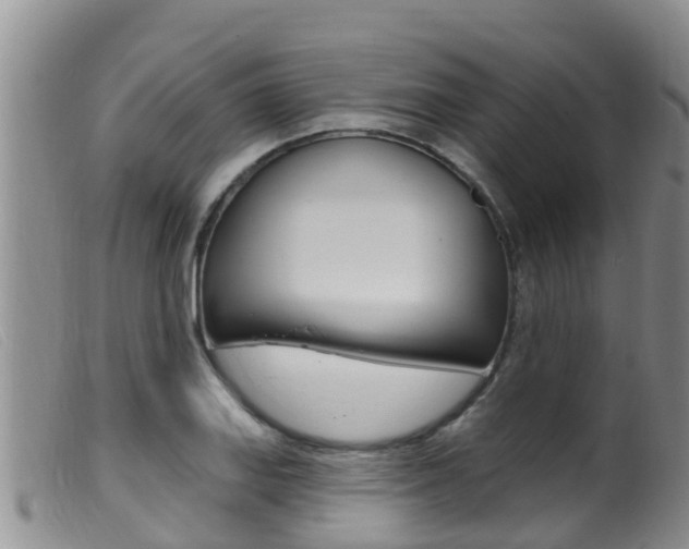 X0000099961127200805231020