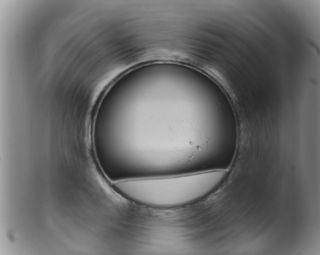 X0000099961128200805231020