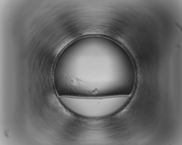 X0000099961129200805231020
