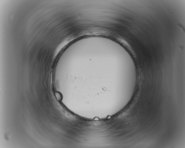 X0000099961130200805231020