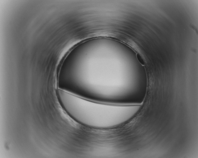 X0000099961132200805231020