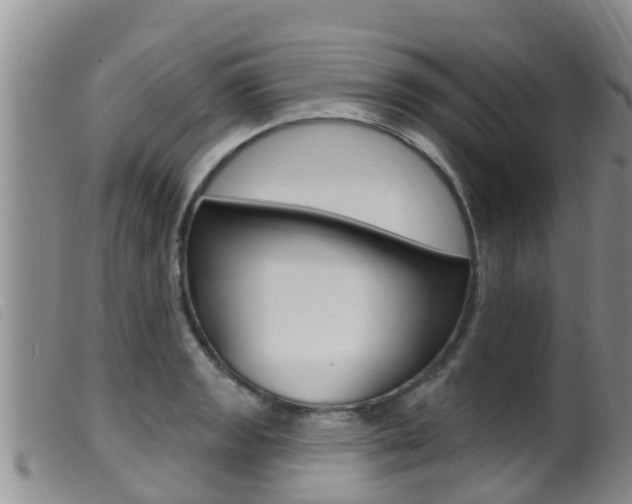 X0000099961133200805231020