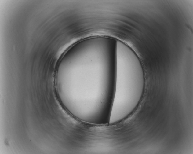 X0000099961134200805231020
