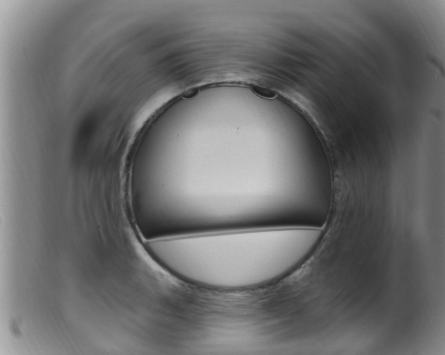 X0000099961135200805231020