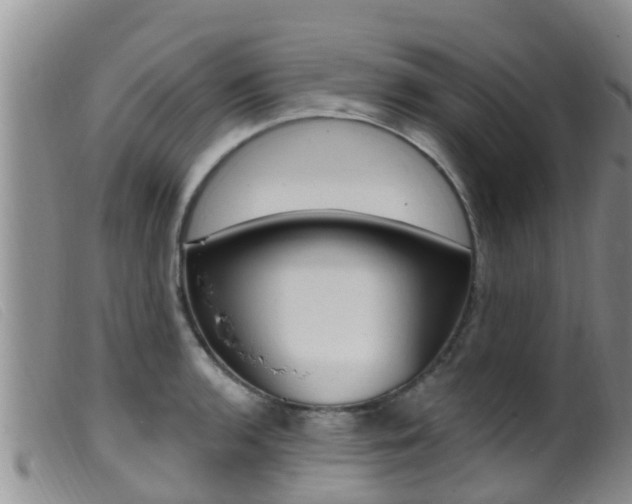 X0000099961136200805231020