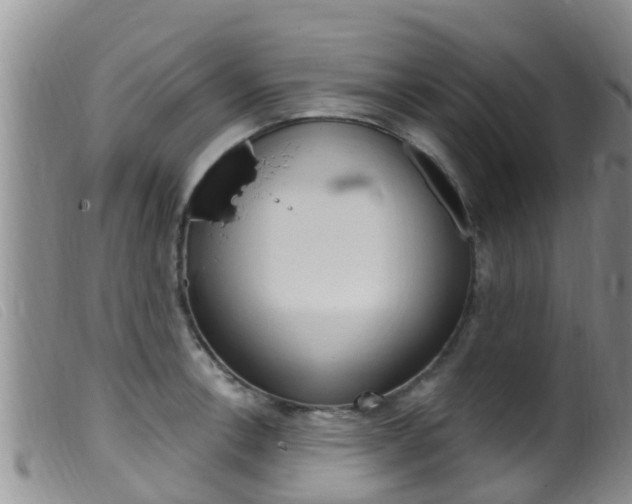 X0000099961138200805231020