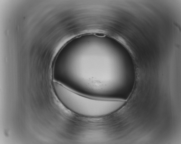 X0000099961140200805231020