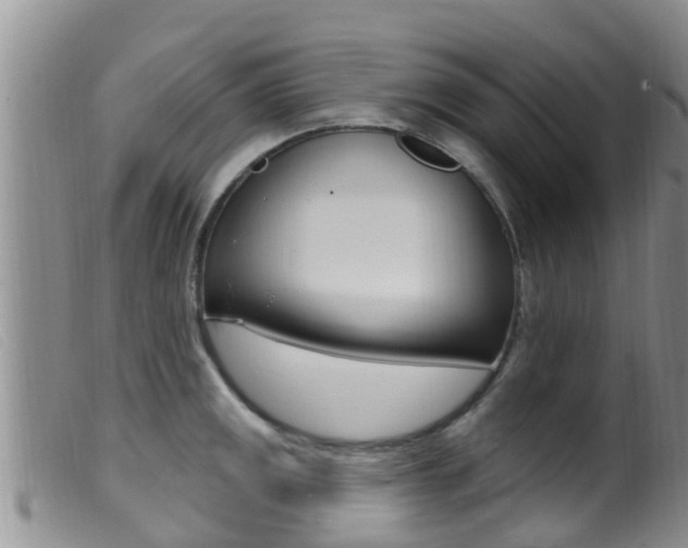 X0000099961141200805231020