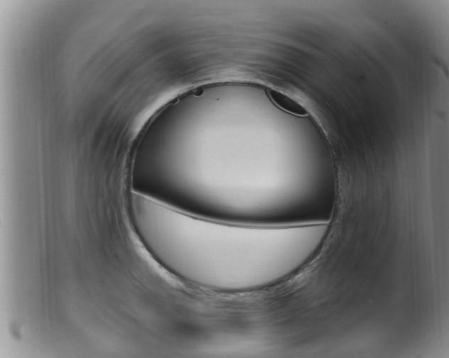 X0000099961142200805231020
