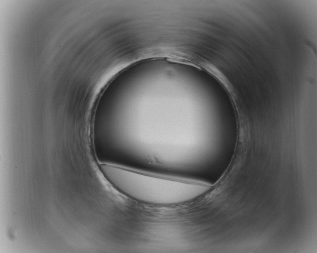 X0000099961144200805231020