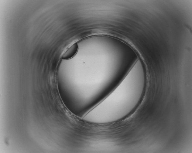 X0000099961145200805231020