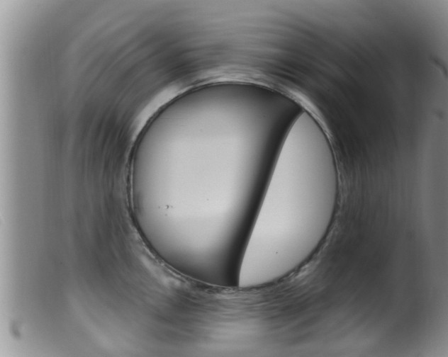 X0000099961146200805231020