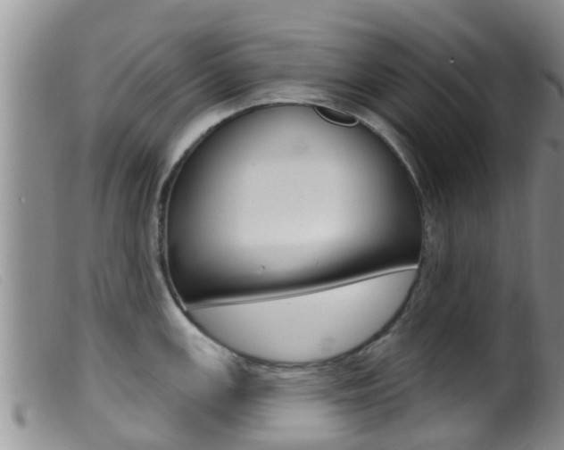 X0000099961147200805231020