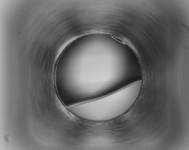 X0000099961148200805231020