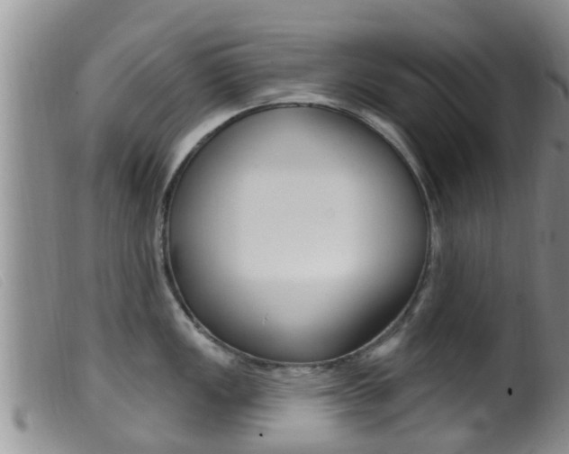 X0000099961149200805231020