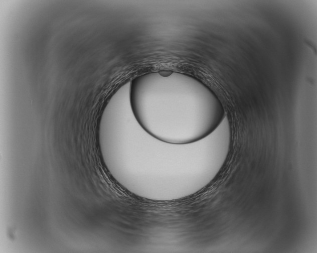 X0000099961153200805231020